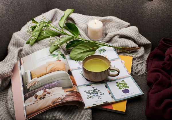 Types of Tea and their Health Benefits
