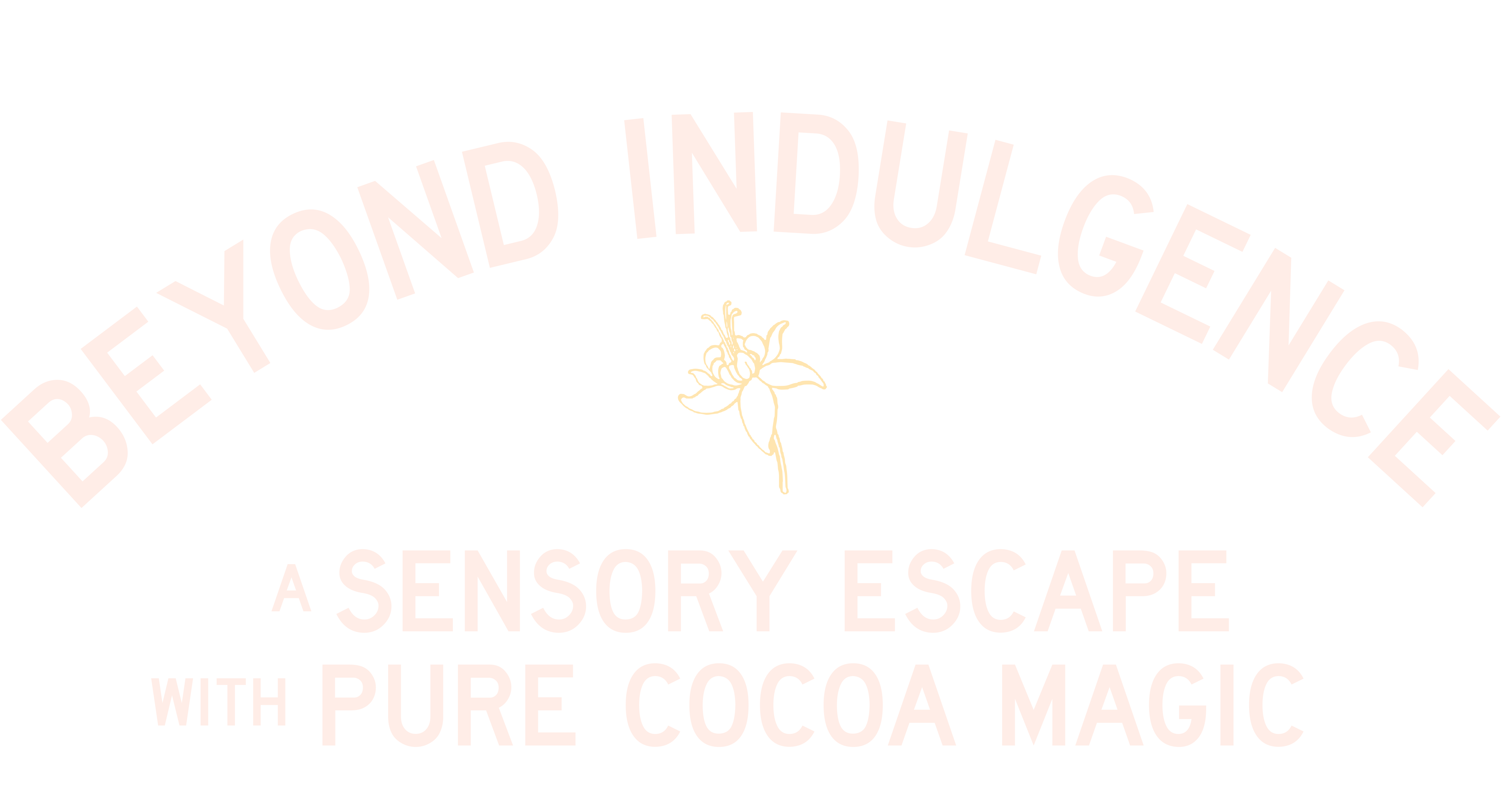 Tea Shop Buy Tea Online Tea Drop